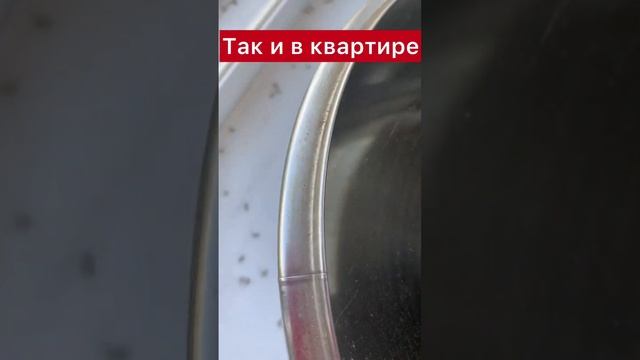 Подвал на Н.Островского