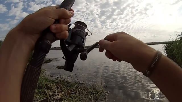 Ловля карпа, карася на горох. Днестр/Catching carp,and crucian in peas.River Dnister. смотреть онлайн