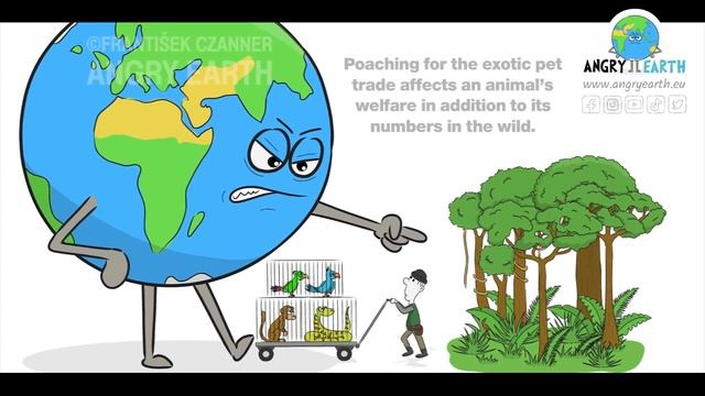 ANGRY EARTH images compilation 19 : Save The Animals 4 + 1,2,3 смотреть онлайн