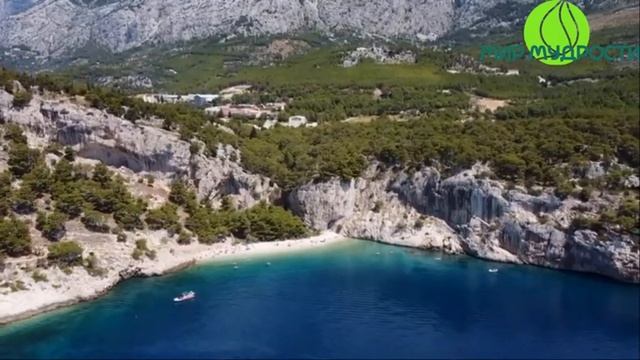 Будь в океане бытия! ОШО. Вечерние медитации смотреть онлайн