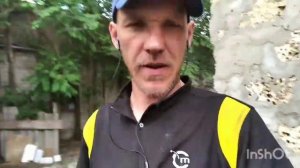 Ford Sierra,пропала искра, причина банальна. Мелочи жизни и вьетнамские свиньи в огороде.