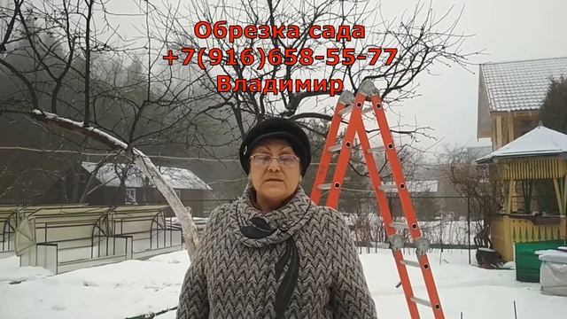 Отзыв на обрезку сада от Ирины Черноголовка МО смотреть онлайн