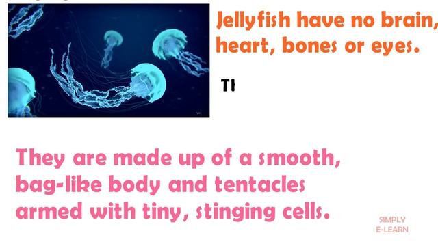 Jellyfish facts for kids - facts about jellyfish for kids - Simply E-learn Kids смотреть онлайн
