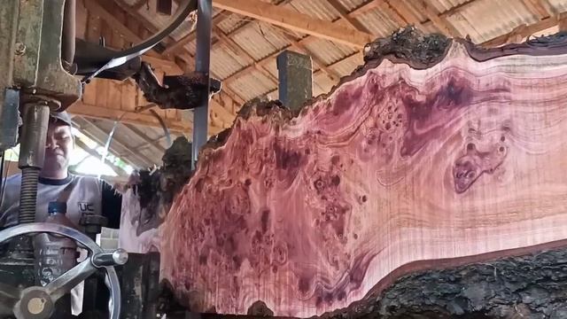 The monster log sawmill terrible full of beauty смотреть онлайн