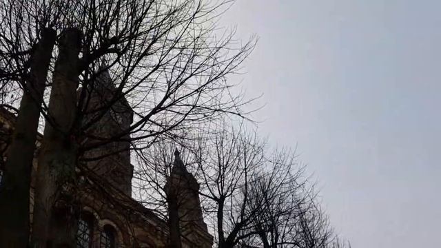 393/Прогулка/ Мой город и город Мелле/ смотреть онлайн