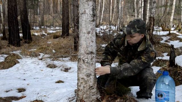 Поход за березовым соком Прикол, сок замерз за ночь #типичныйблогер смотреть онлайн