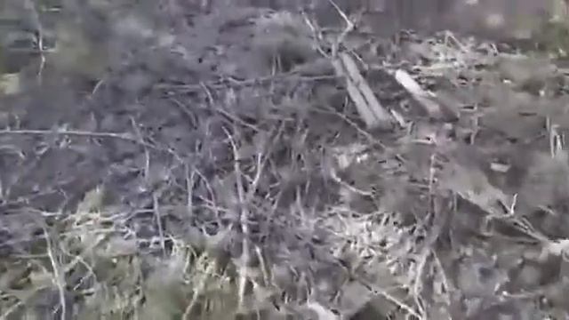 Актобе облысы Ойыл ауданы смотреть онлайн