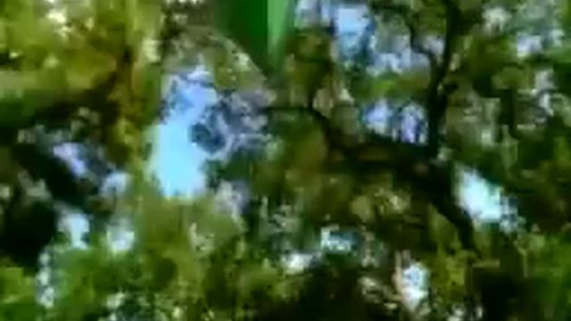 The Sims 1 Unleashed Commercial Trailer смотреть онлайн