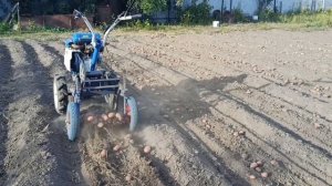 Мотоблок Нева самодельная картофелекопалка