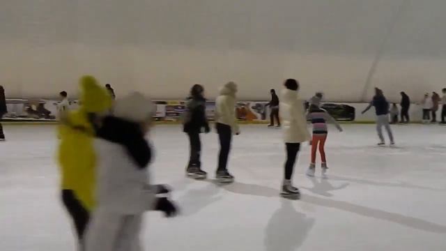 занятие конькобежным спортом смотреть онлайн