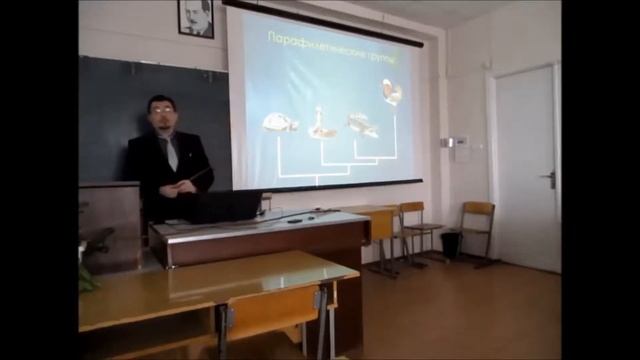 НОВАЯ СИСТЕМАТИКА. Часть 2.