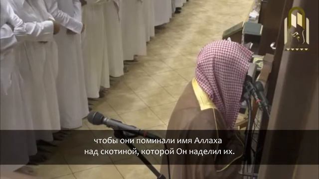 Мухаммад аль-Люхайдан - Сура 22 "аль-Хадж", аяты (25-41) смотреть онлайн