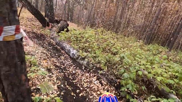 1-й круг осенний кубок Зауралья г. Курган класс "Эндуро" смотреть онлайн