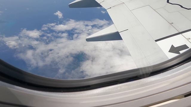 TRAVELING BACK TO CAYMAN ISLANDS 🇰🇾 #caymanislands #honduras #travel смотреть онлайн