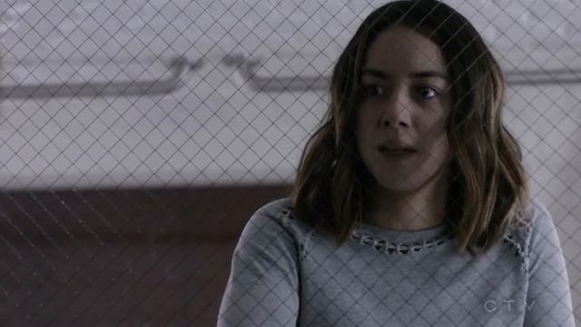 Agents Of S.H.I.E.L.D. - 3x22 May and Daisy смотреть онлайн