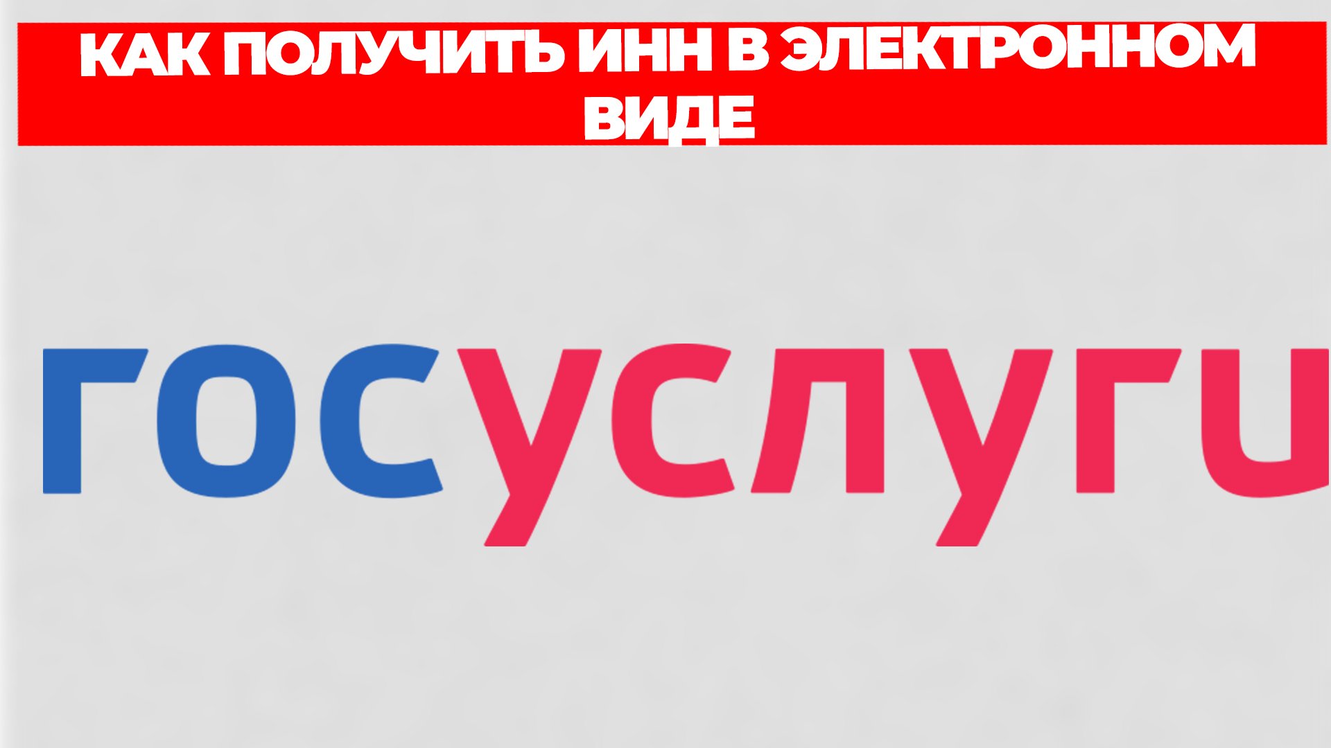 Всезнающий Енот