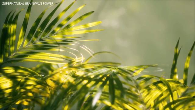 Clear Negative & Bad Energy ! 417Hz + 432Hz ! Manifest Energy Healing ! Meditation And Healing Musi