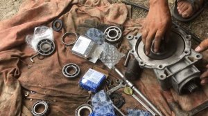 Стелс гепард, замена подшипников и сальников в заднем редукторе.