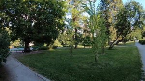 Мальчик писает с руки