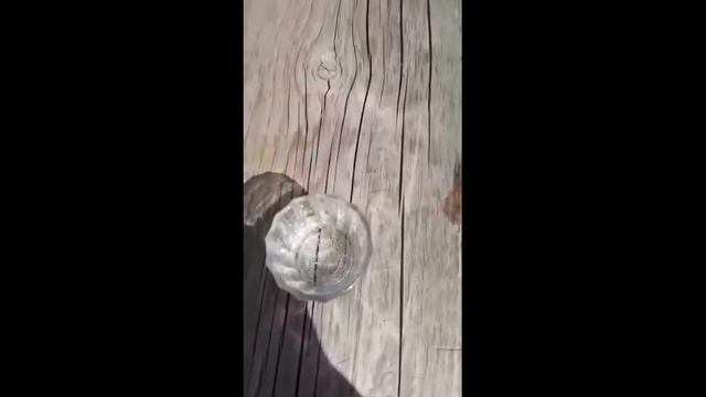 Татарские приколы шутки смотреть онлайн