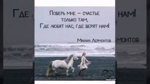 Кристоф Маэ « Где оно Счастье?»