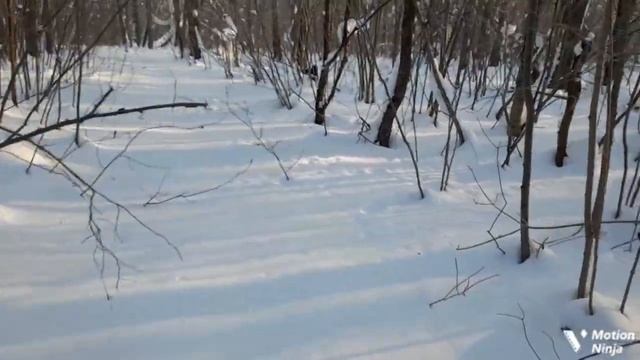 #186 в Харзу вселился бес (часть первая) смотреть онлайн