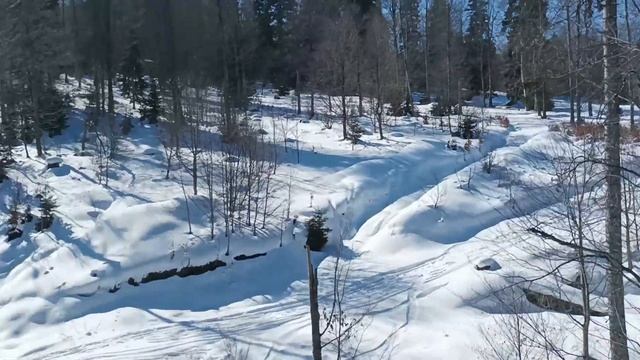 ПОКОРИТЕЛИ ВЕРШИН! Горнолыжный курорт Бакуриани - Грузия // BAKURIANI Georgia