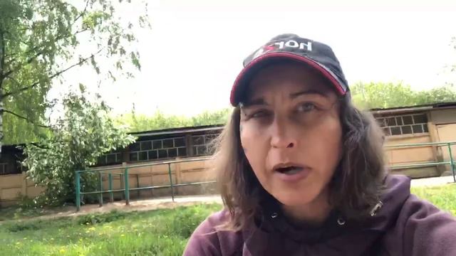 Как определить мотивирована ли лошадь? смотреть онлайн