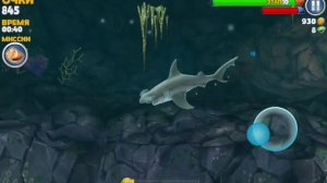 Где найти гигантского краба в игре Hungry Shark