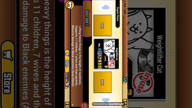 Обзор игры Battle cats. смотреть онлайн