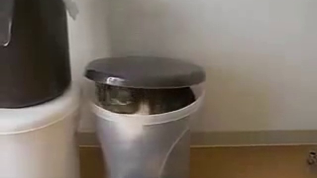 кот-Маруууу))) Хочу такого же!!! смотреть онлайн