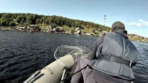 Рыбалка на горбушу река Умба.