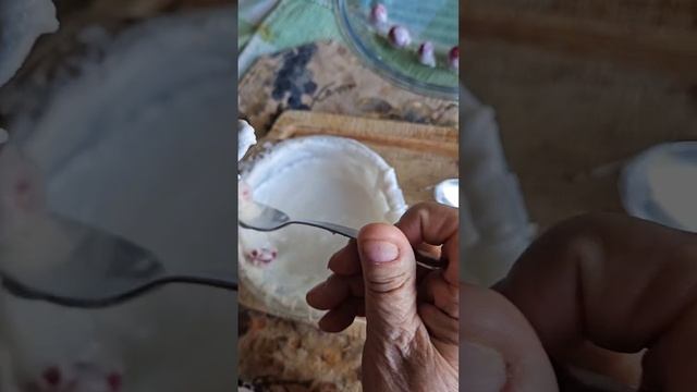 SUGARED CRANBERRY. HOMEMADE смотреть онлайн