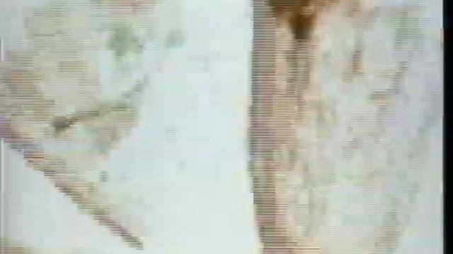 MOTHLIGHT SOUNDTRACK - Ode to Brakhage смотреть онлайн