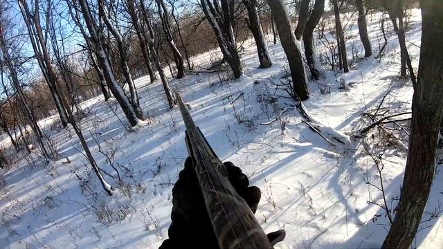 Красиво взял зайца смотреть онлайн