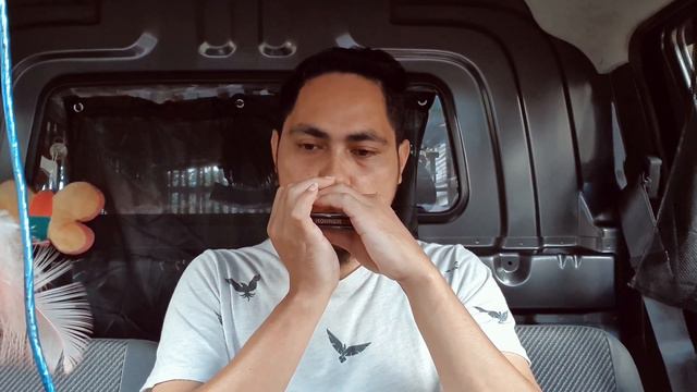 Coffin Dance Harmonica with TAB смотреть онлайн