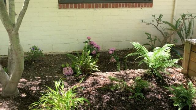 Designing A Shade Garden - Part 2 смотреть онлайн