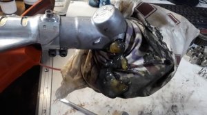 Husqvarna 555RXT. Обновление смазки редуктора.