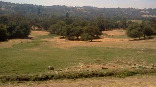 Auburn Ravine Gold смотреть онлайн