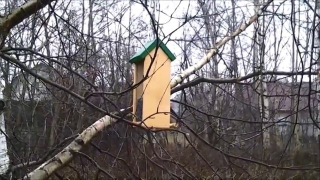 Кормушка для птиц "Дуэт" смотреть онлайн