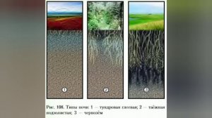 Краткий пересказ 49 параграф география Алексеев Николина 5-6 класс. Почвы
