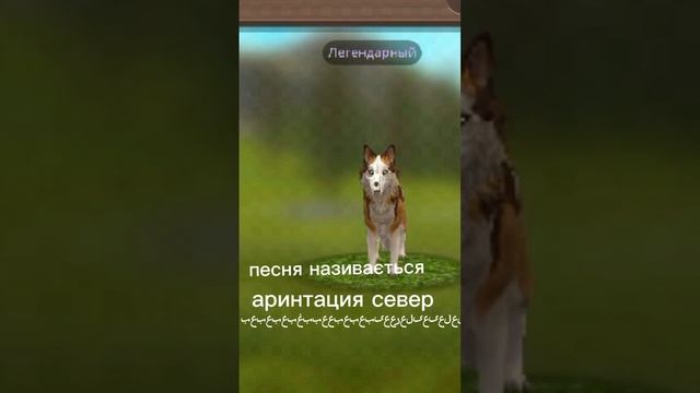 старался?? слушайте мои пупсики особенно липтон с броду @Brody_klanCag @Lipt_WildCraft смотреть онлайн