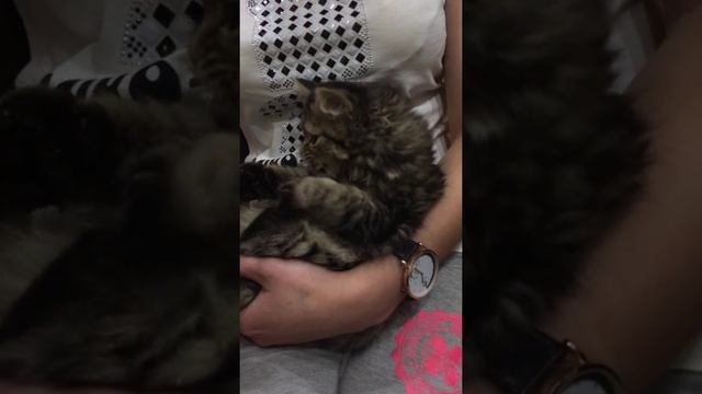 Варя ест вафли