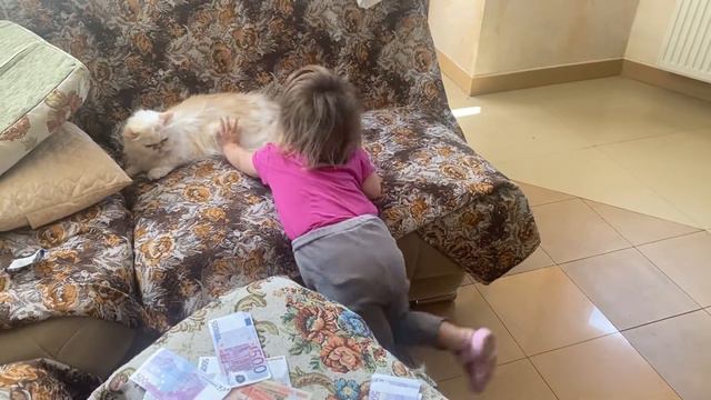 Улетели из Перми//На двух самолётах в Калининград//Встретились с Мишей смотреть онлайн