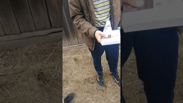 Школьник встал на колени когда увидел подаренный ему пасито смотреть онлайн