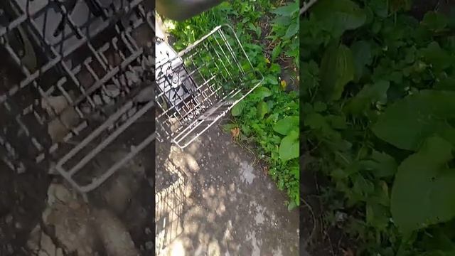 Электросамокат Kugoo M5 краткий обзор смотреть онлайн