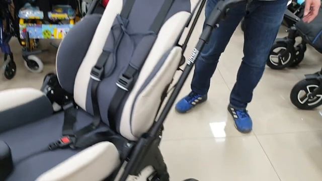 Hoggi Bingo Evolution