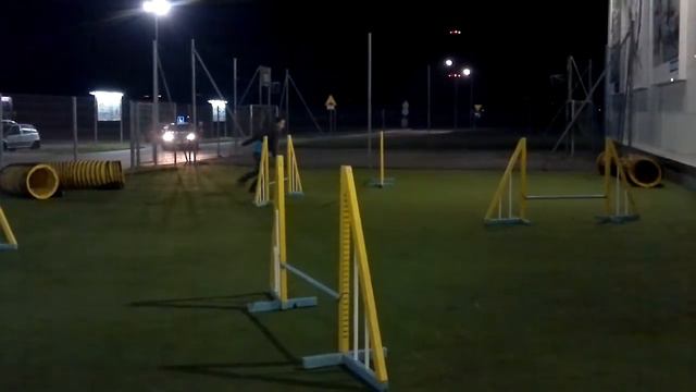 trening Decathlon смотреть онлайн