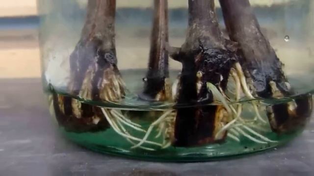 DIY Мастерская