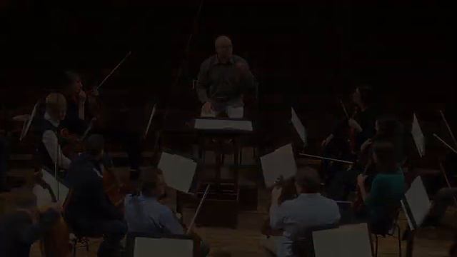 Ondřej Vrabec rehearsing Rite of Spring by Igor Stravinsky for Valery Gergiev смотреть онлайн